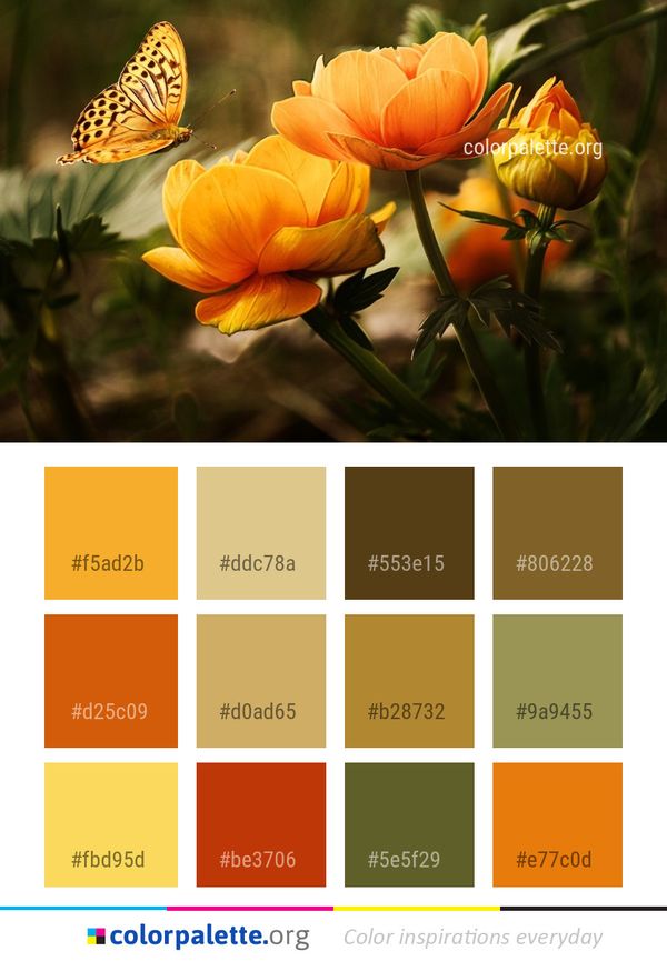 Flower Yellow Flora Color Palette