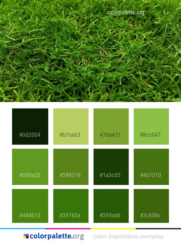 Grass Plant Lawn Color Palette