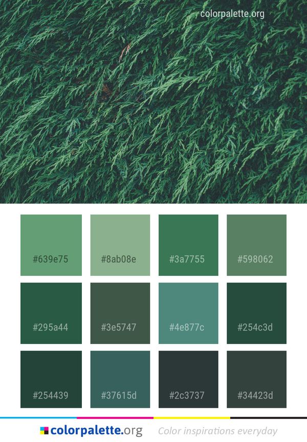 Green Ecosystem Grass Color Palette