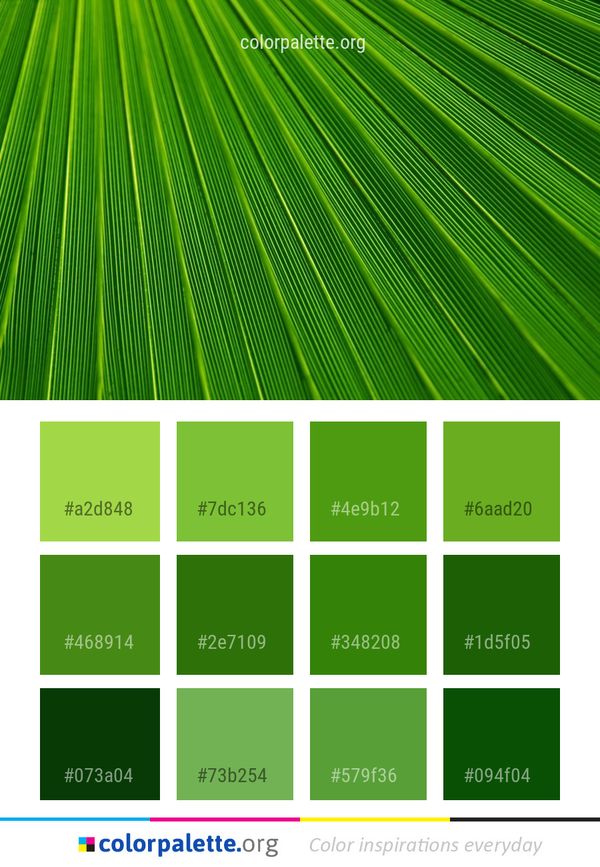 Green Leaf Grass Color Palette