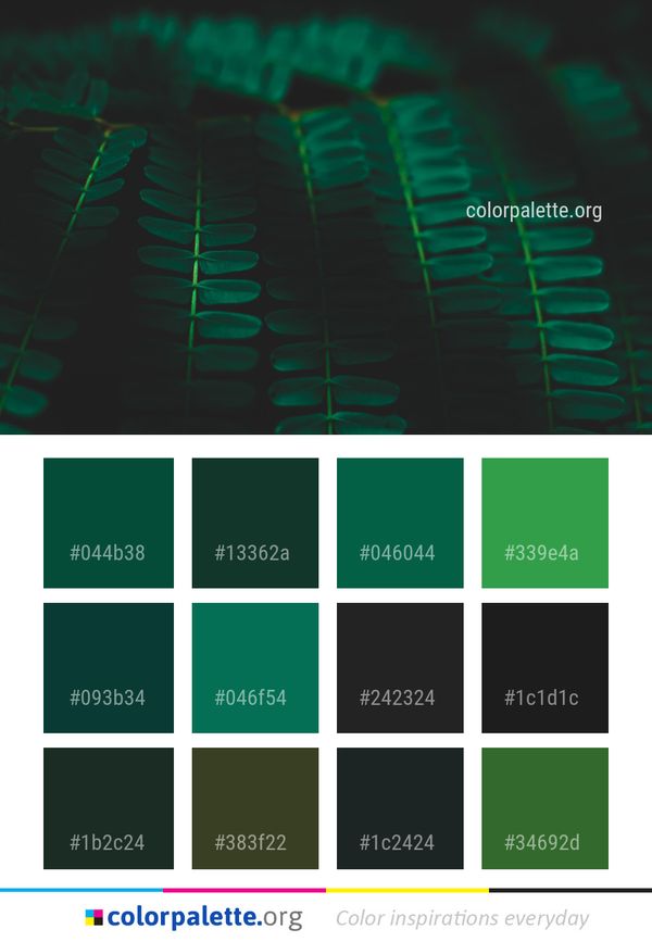 Green Light Computer Wallpaper Color Palette