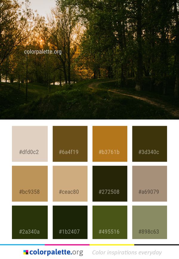 Nature Tree Leaf Color Palette