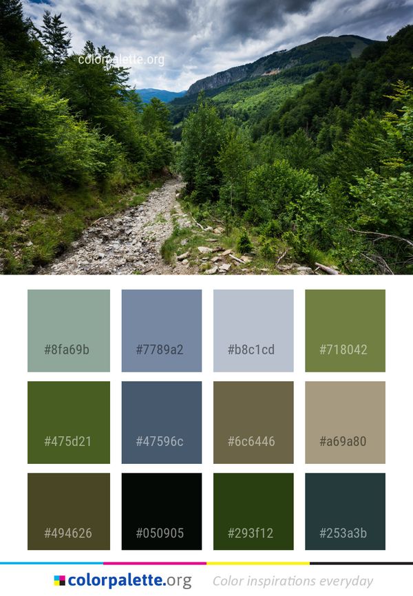 Nature Wilderness Vegetation Color Palette