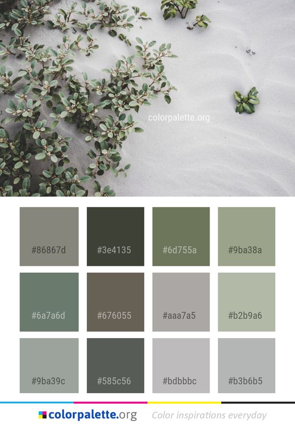 Plant Flora Leaf Color Palette