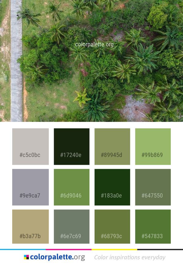 Plant Vegetation Tree Color Palette