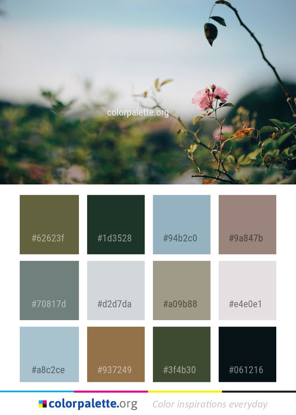 Sky Leaf Flower Color Palette