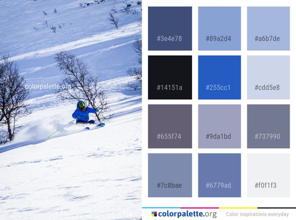 Snow Winter Piste Color Palette