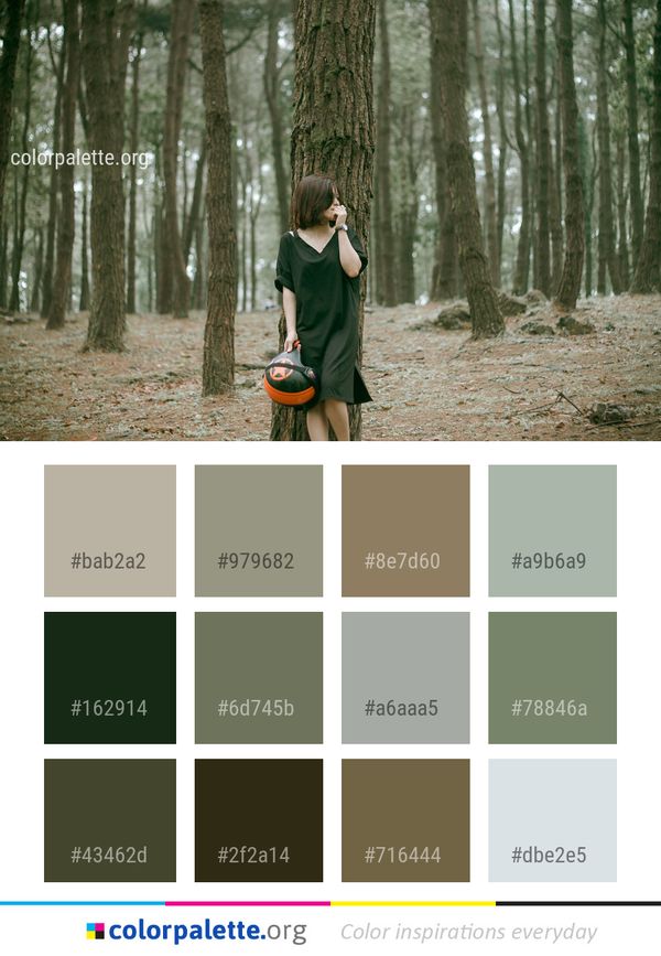 Tree Photograph Nature Color Palette