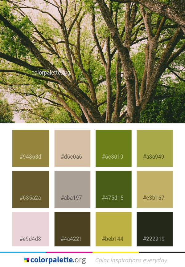 Tree Vegetation Ecosystem Color Palette