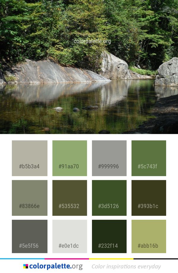 Water Nature Reserve Color Palette