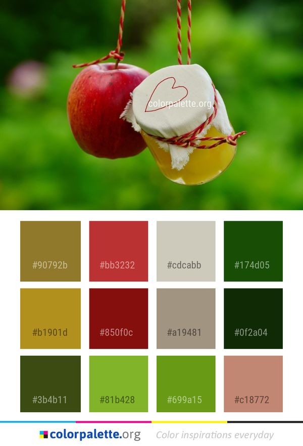 Apple Close Up Fruit Color Palette
