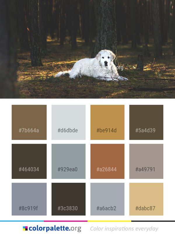Dog Like Mammal Woody Plant Color Palette
