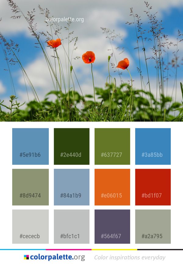Flower Sky Field Color Palette