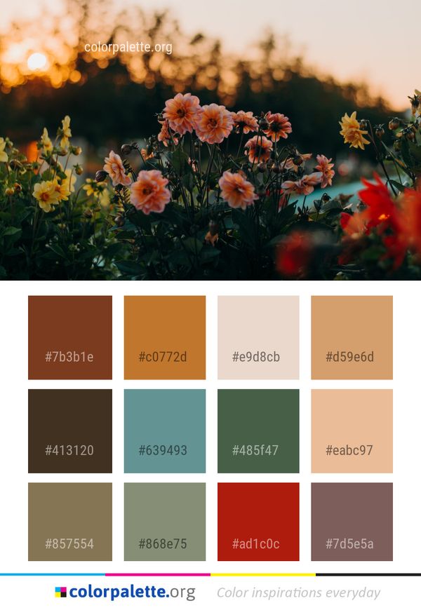 Flower Sky Spring Color Palette
