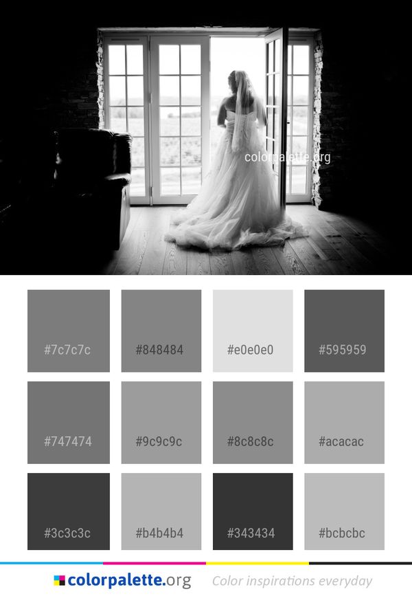 Gown Bride Photograph Color Palette