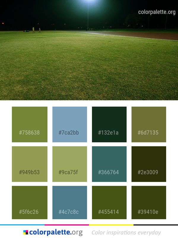Green Grass Atmosphere Color Palette