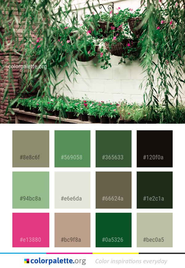 Green Plant Flora Color Palette