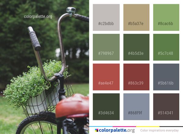 Land Vehicle Bicycle Road Color Palette