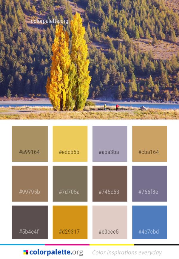 Nature Tree Woody Plant Color Palette