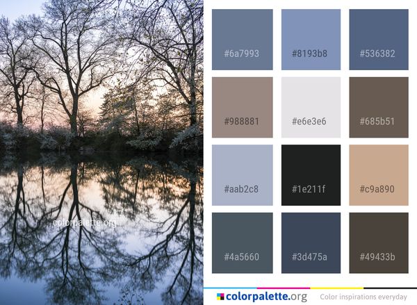 Reflection Water Tree Color Palette