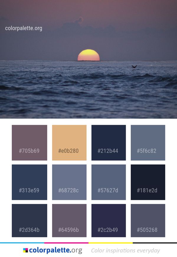 Sea Horizon Ocean Color Palette