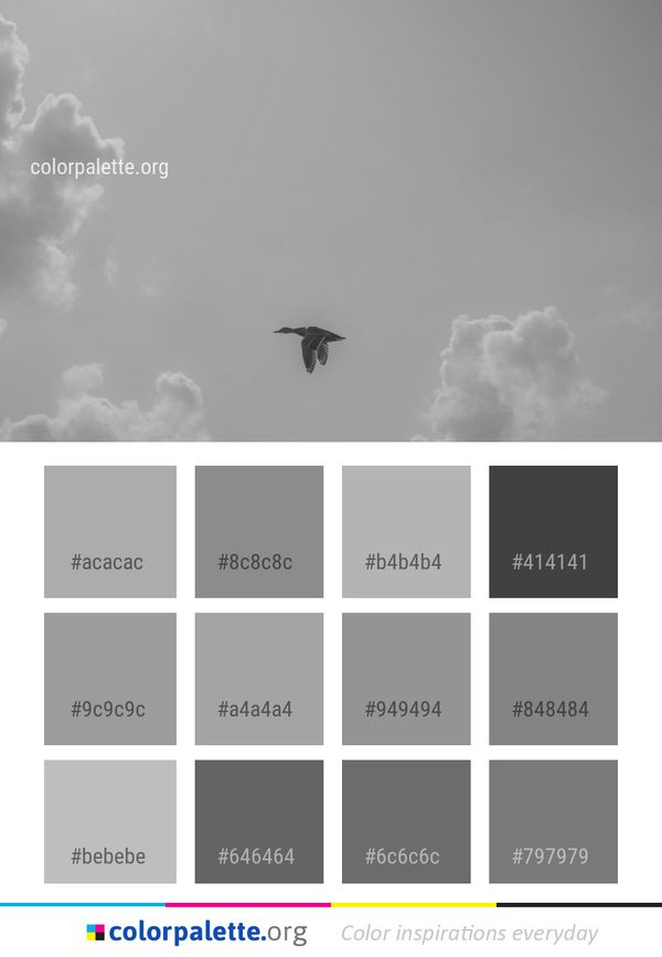 Sky Black And White Cloud Color Palette