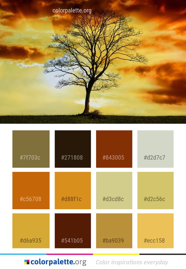 Sky Nature Tree Color Palette