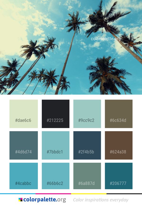 Sky Tree Palm Color Palette