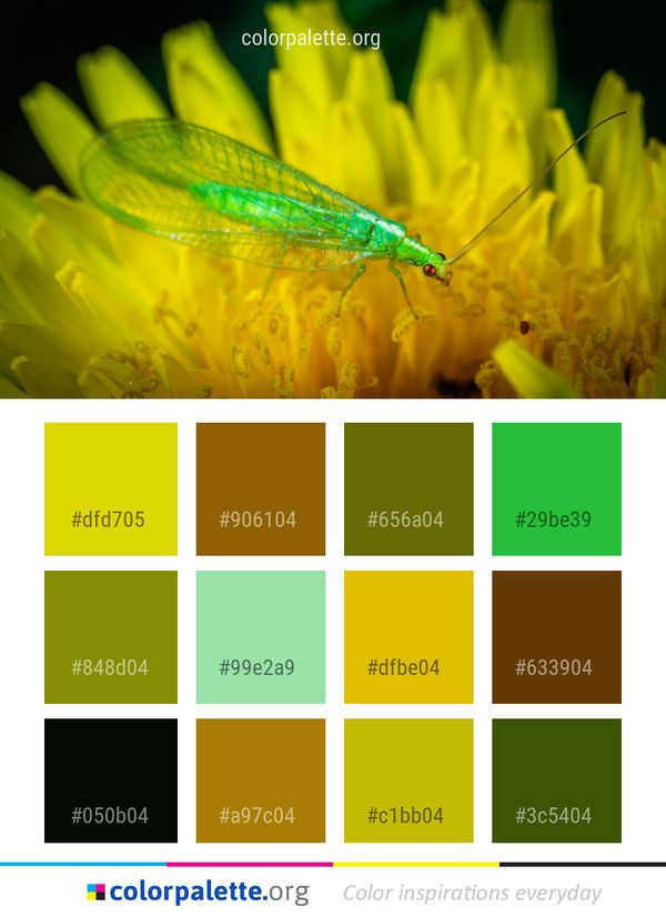 Yellow Macro Photography Insect Color Palette