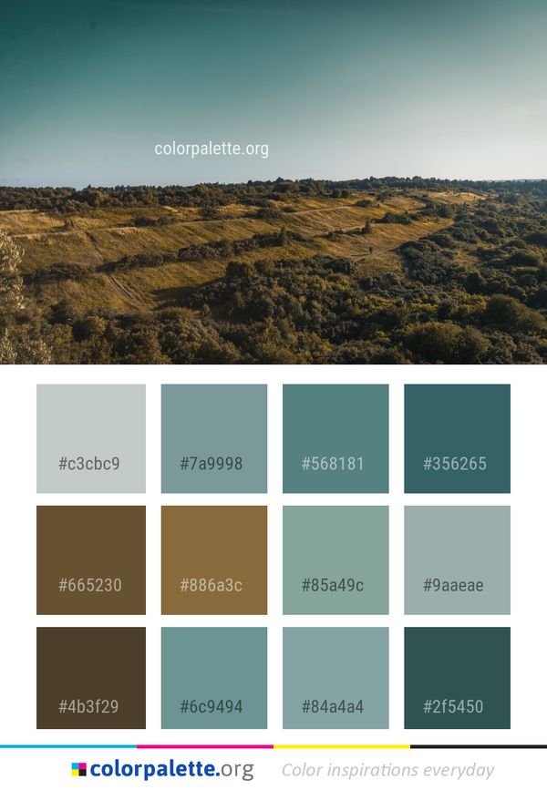 Ecosystem Sky Horizon Color Palette