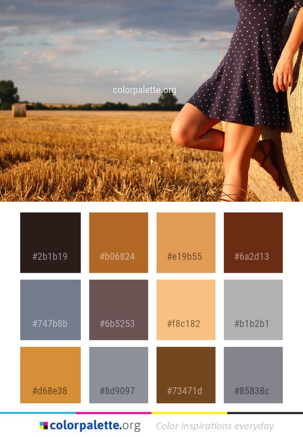 Field Sky Grass Family Color Palette