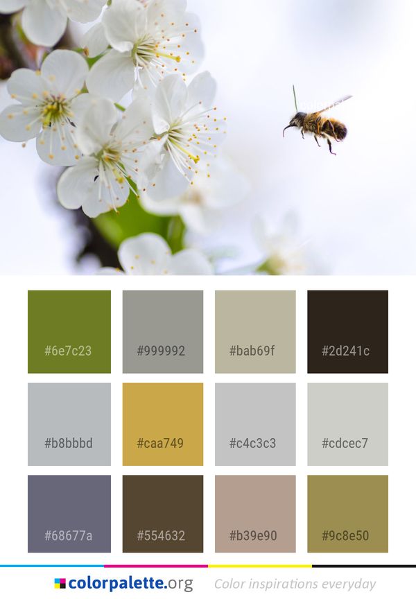Flower Honey Bee Color Palette