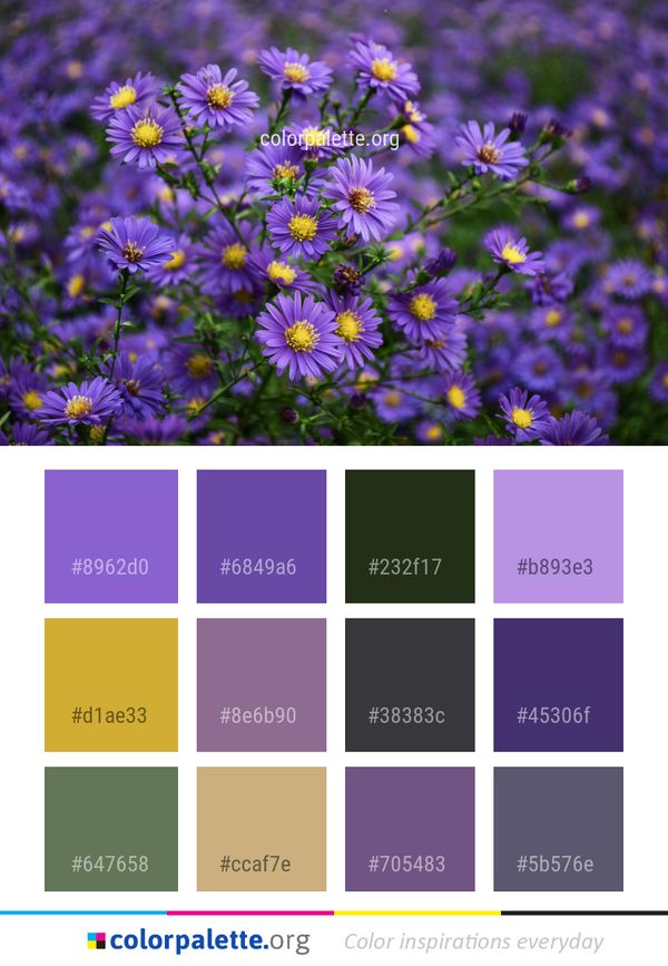 Flower Plant Purple Color Palette