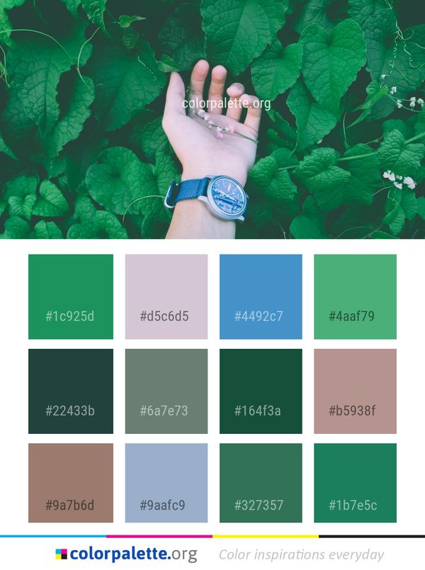 Green Leaf Hand Color Palette