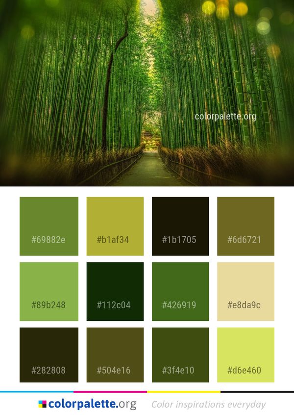 Green Vegetation Grass Color Palette