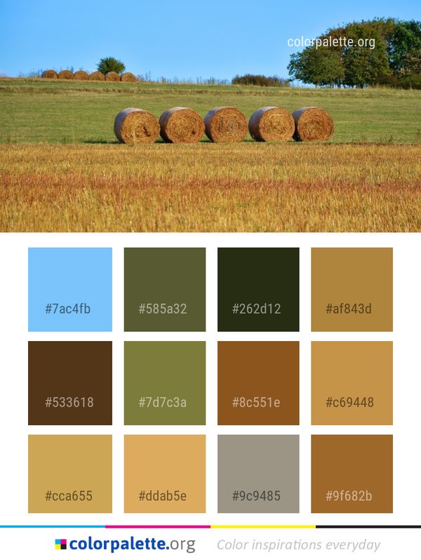 Hay Field Agriculture Color Palette
