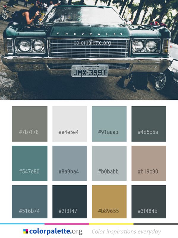 Motor Vehicle Car Color Palette