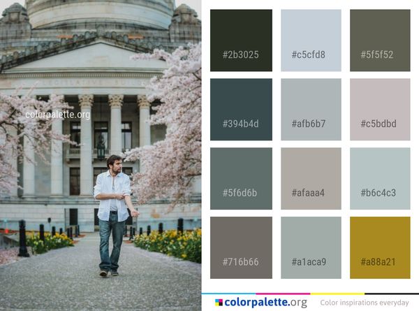 Photograph Infrastructure Snapshot Color Palette