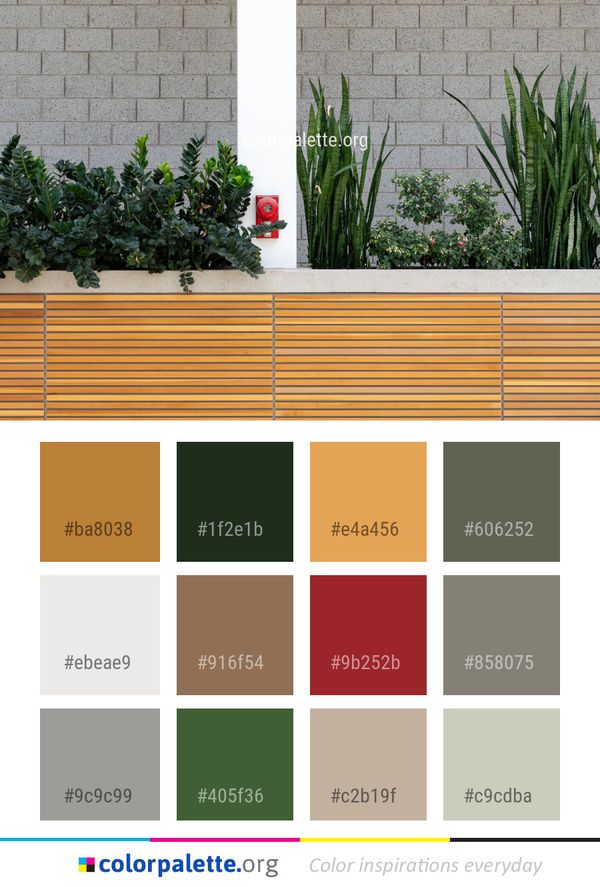 Plant Wall Flowerpot Color Palette