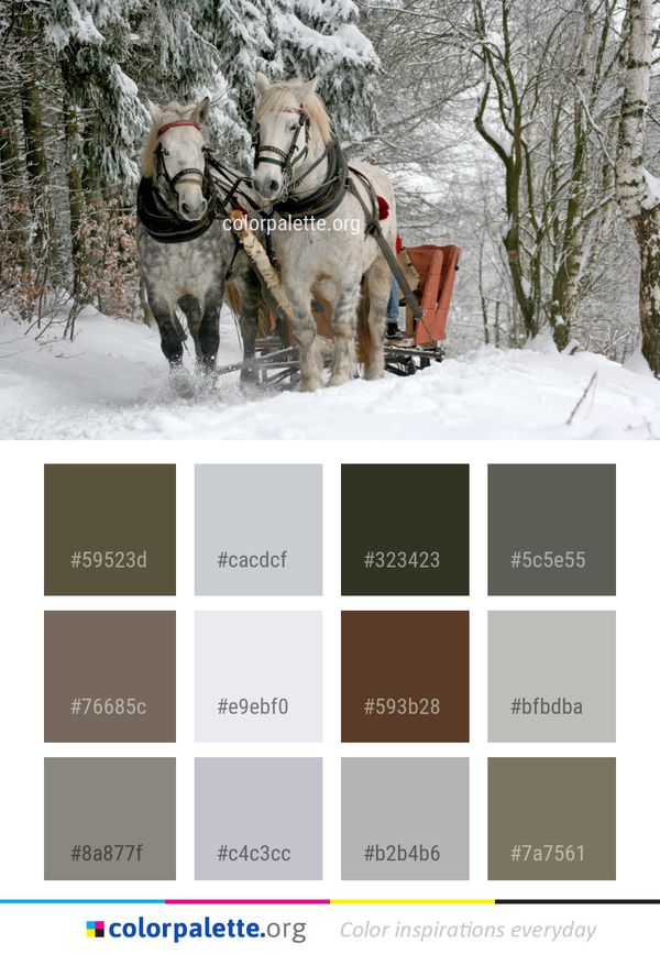 Snow Tree Winter Color Palette