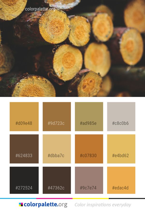 Close Up Wood Macro Photography Color Palette