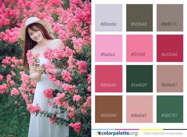Flower Pink Rose Family Color Palette