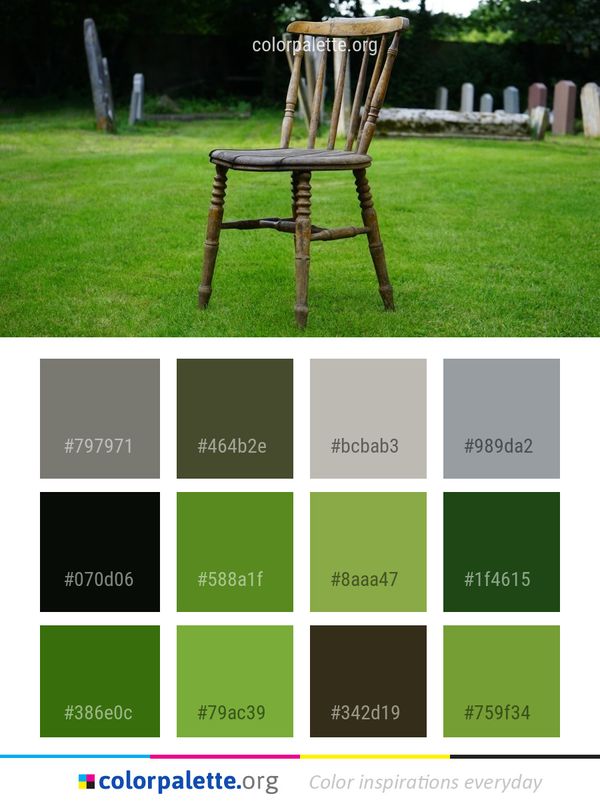Furniture Chair Grass Color Palette