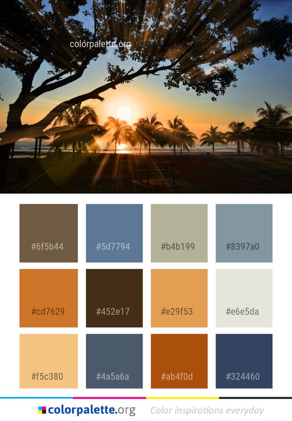 Nature Sky Tree Color Palette