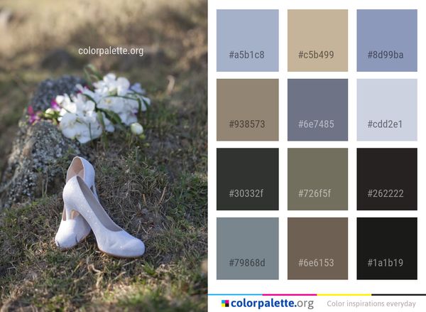 Photograph Flower Plant Color Palette