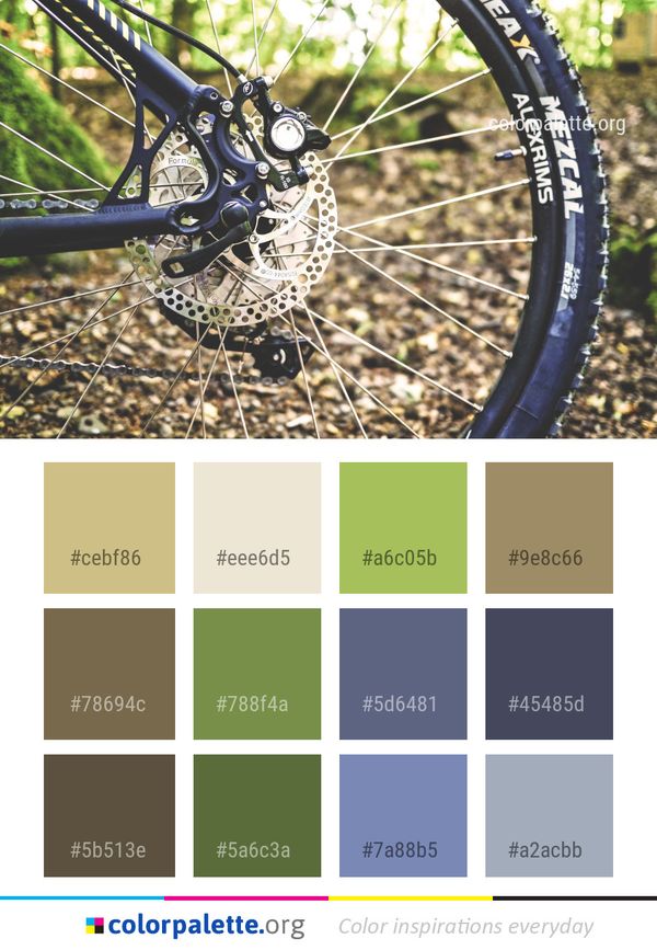 Road Bicycle Wheel Color Palette
