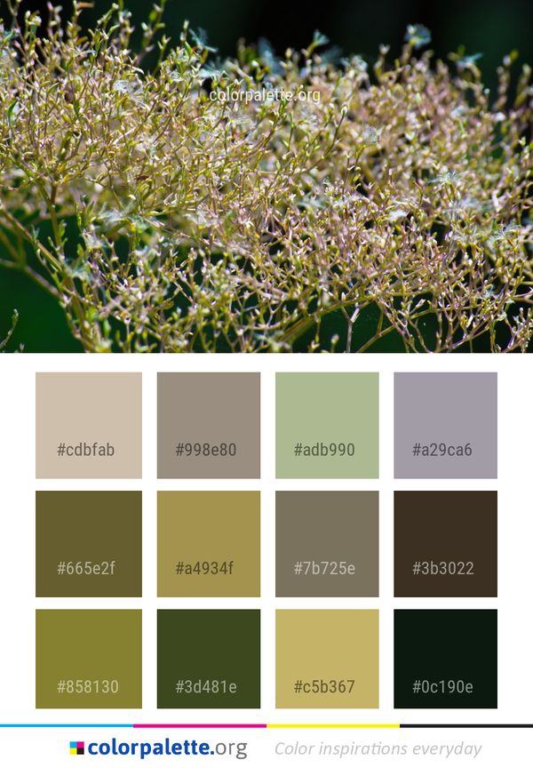Water Flora Plant Color Palette
