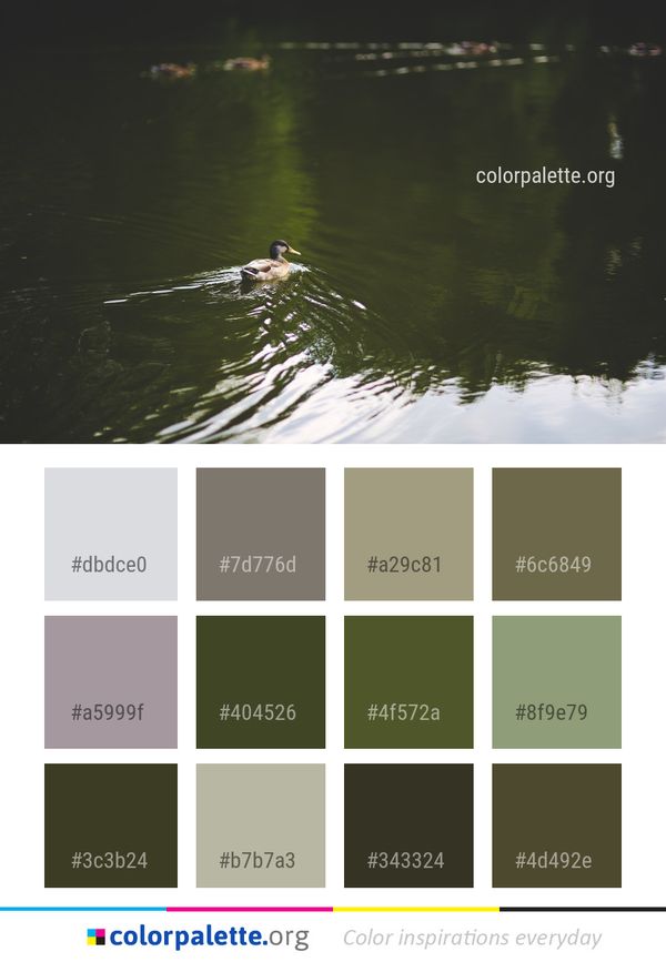 Water Reflection Nature Color Palette