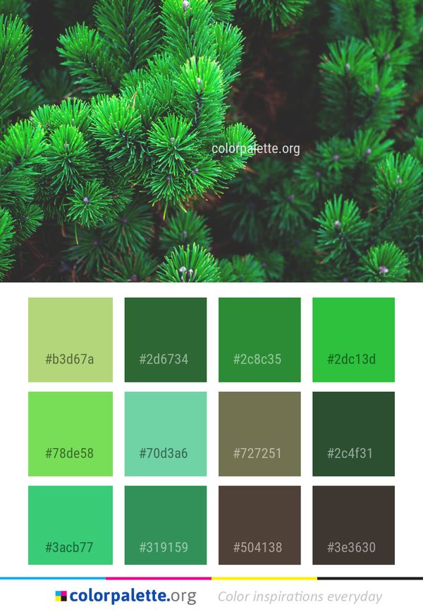 Ecosystem Vegetation Aquatic Plant Color Palette