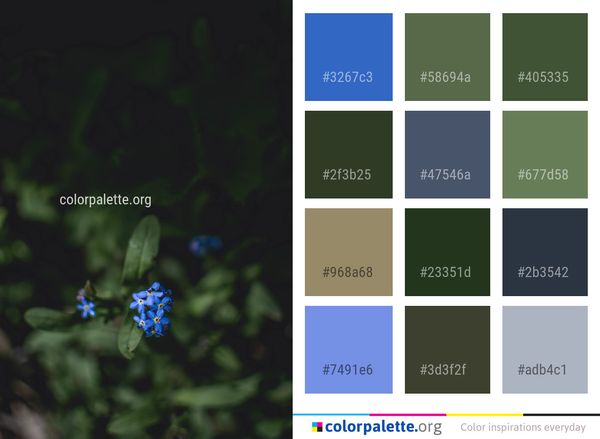 Flora Flower Plant Color Palette